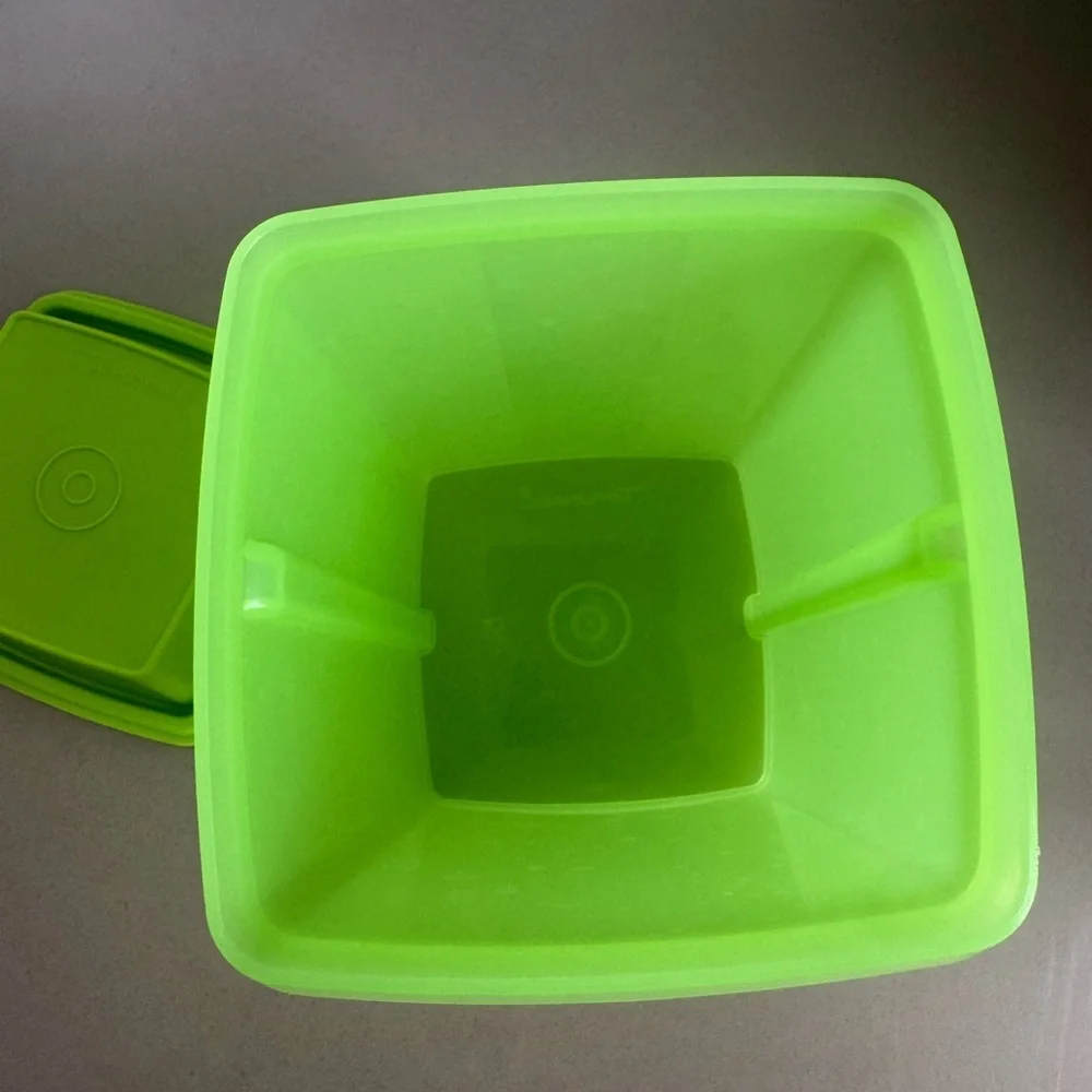 Vintage Tupperware Pick-a-deli Green Pickle Container